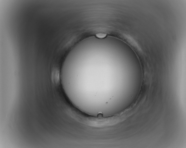 X0000115350021200911101145