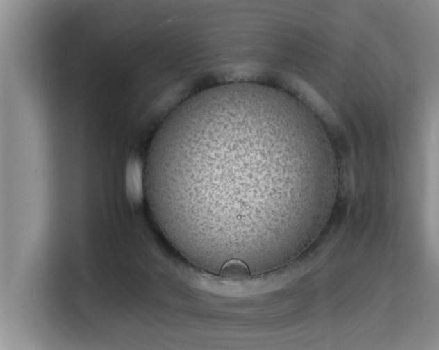 X0000115350022200911101145