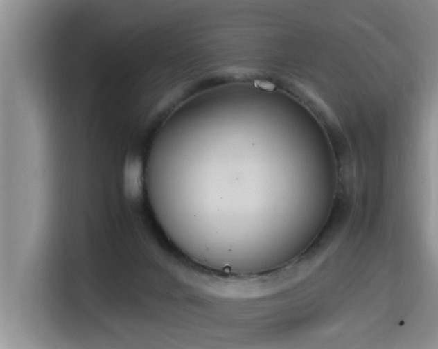 X0000115350024200911101145