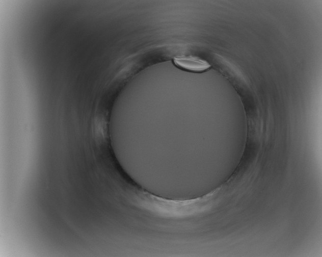 X0000115350035200911101145
