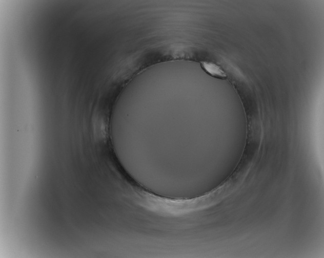 X0000115350039200911101145