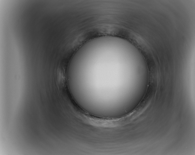 X0000115350040200911101145