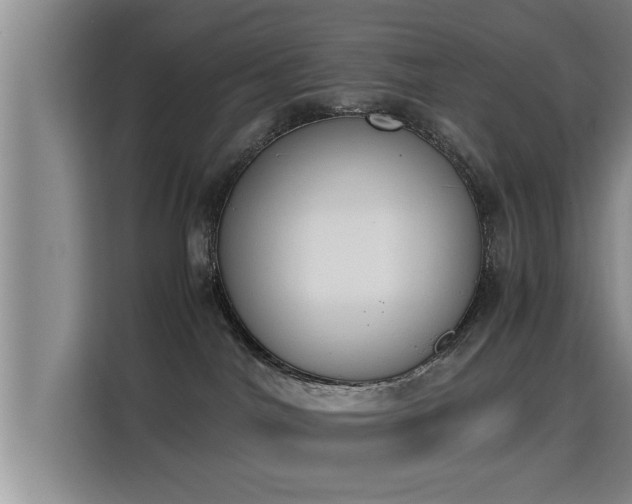 X0000115350044200911101145