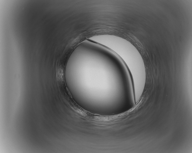X0000115350045200911101145