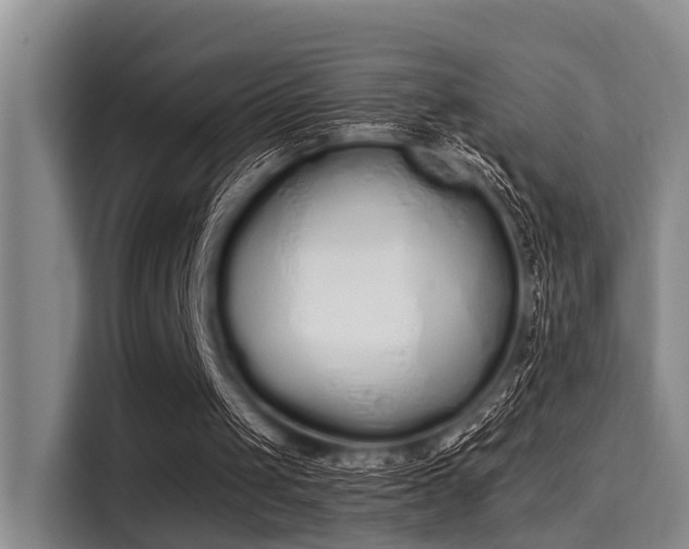 X0000115350049200911101144