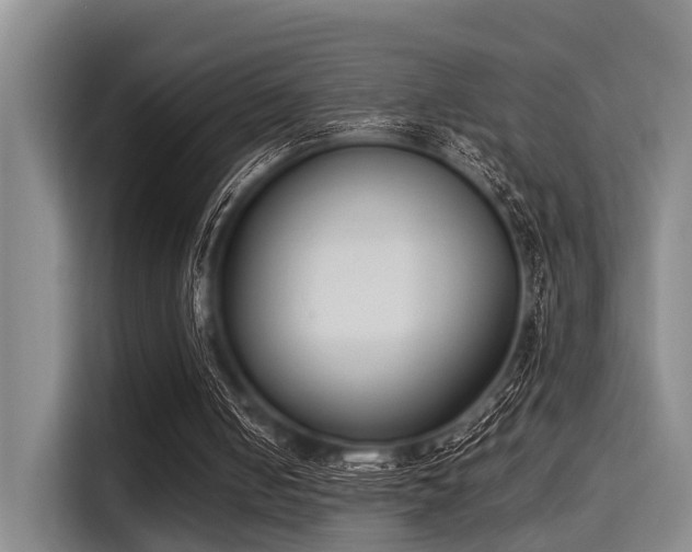 X0000115350050200911101144