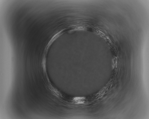 X0000115350051200911101144