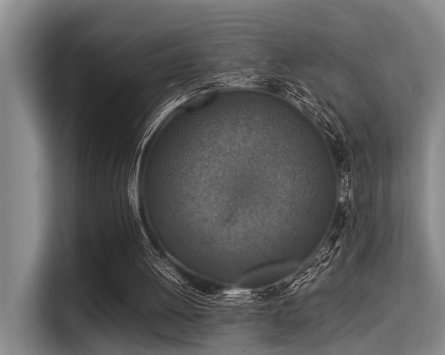 X0000115350052200911101144
