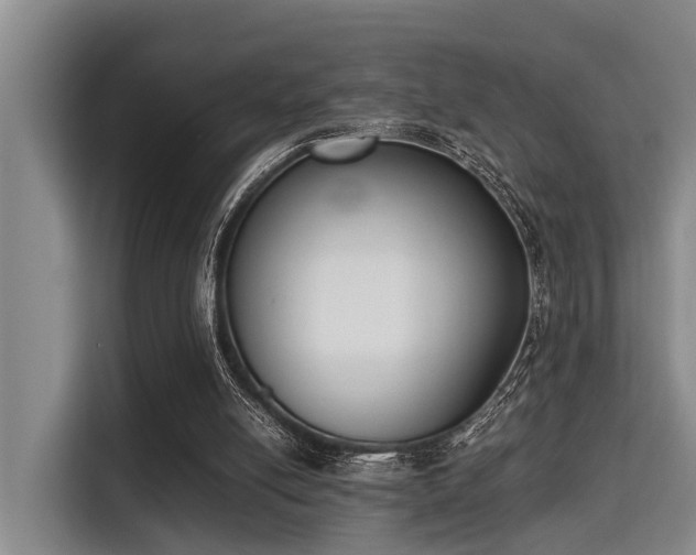 X0000115350054200911101144