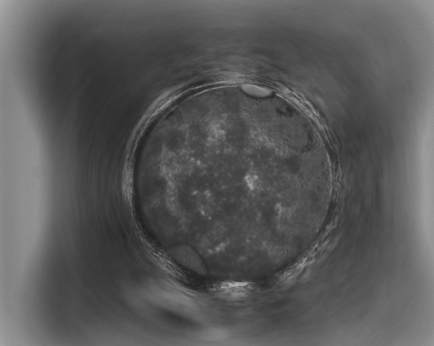X0000115350055200911101144