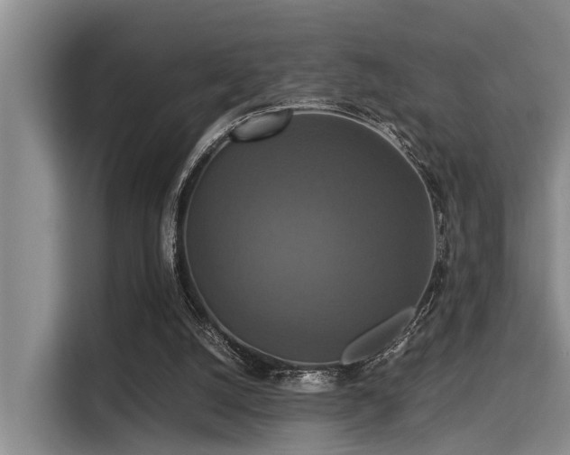 X0000115350056200911101144