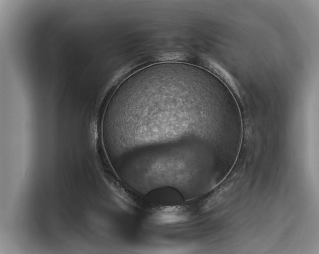 X0000115350059200911101144