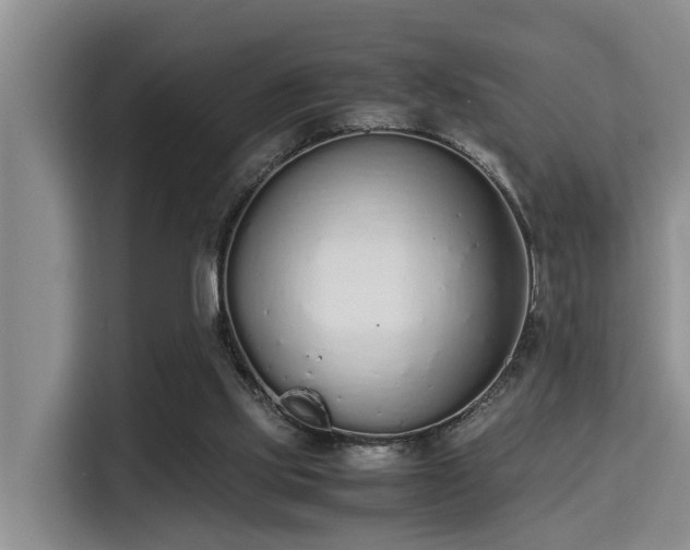 X0000115350061200911101144