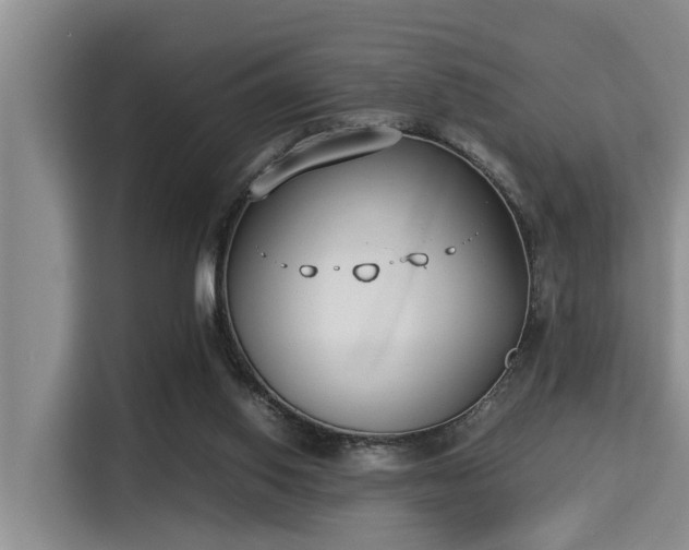 X0000115350062200911101144