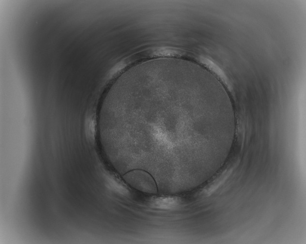 X0000115350063200911101144