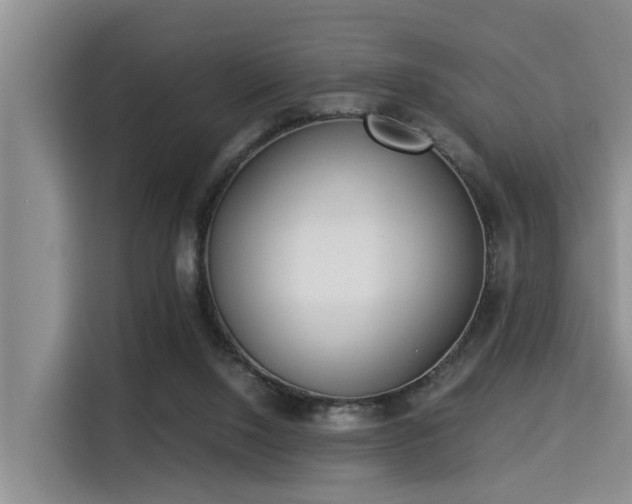 X0000115350064200911101144