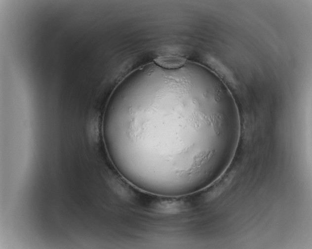 X0000115350065200911101144