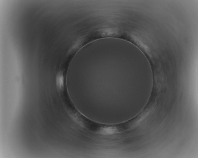 X0000115350067200911101144
