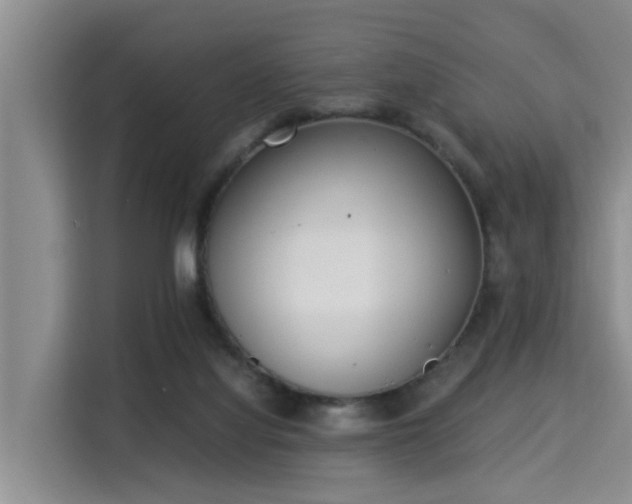 X0000115350068200911101144
