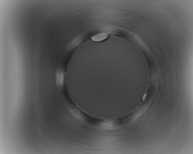 X0000115350076200911101145
