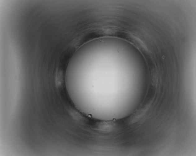 X0000115350077200911101145