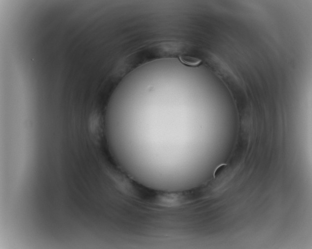 X0000115350079200911101145