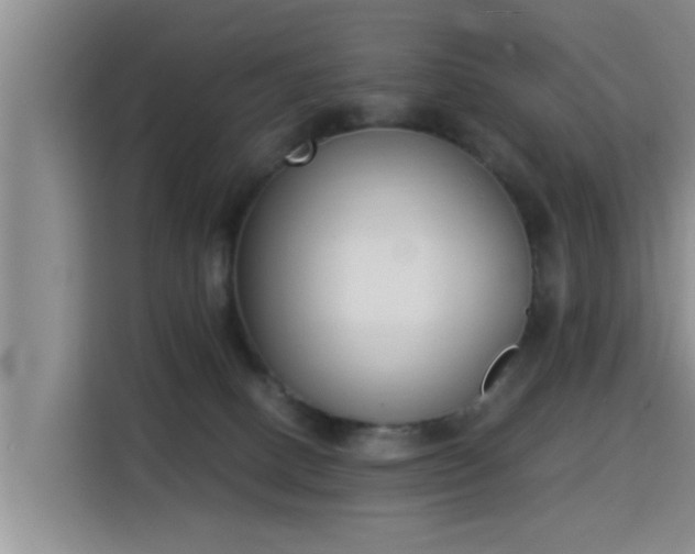 X0000115350082200911101145