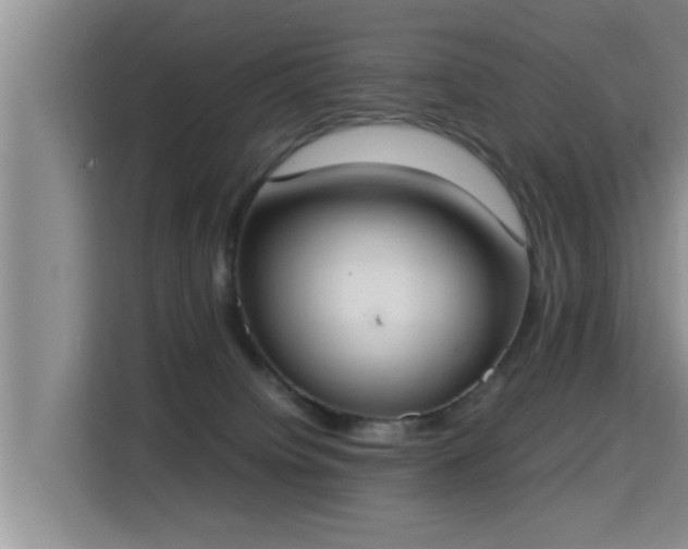 X0000115350084200911101145