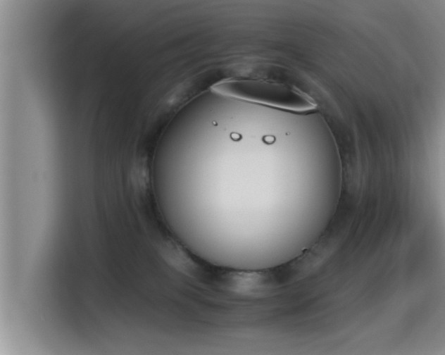 X0000115350085200911101145