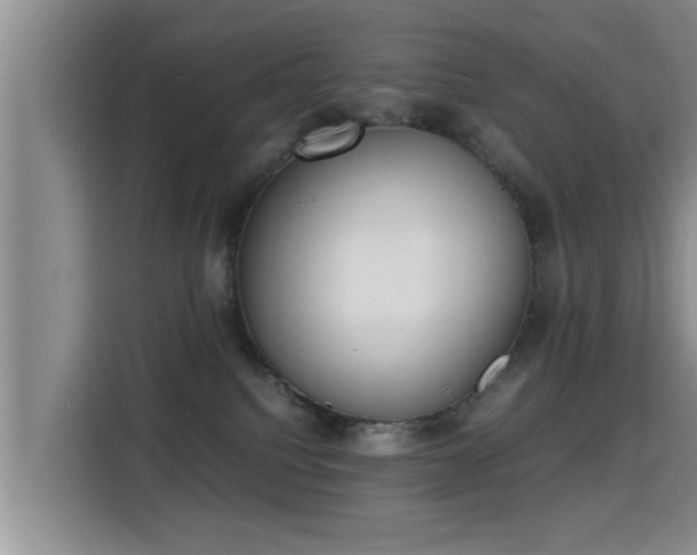 X0000115350088200911101145