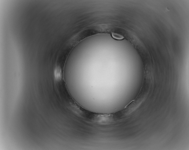 X0000115350089200911101145