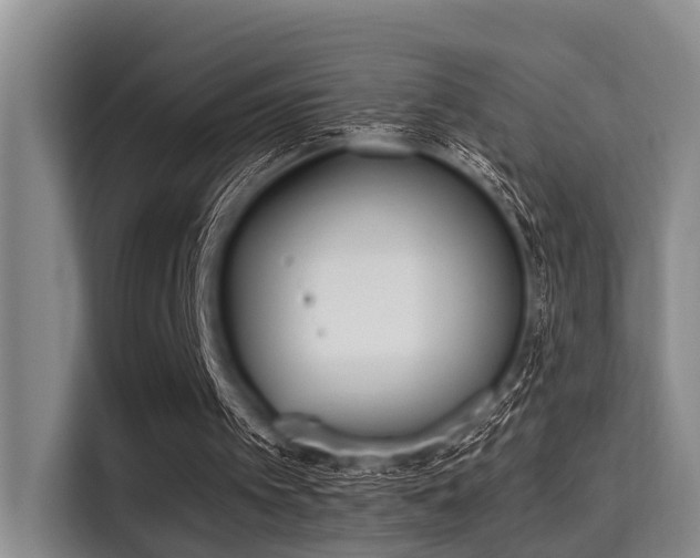 X0000115350097200911101144