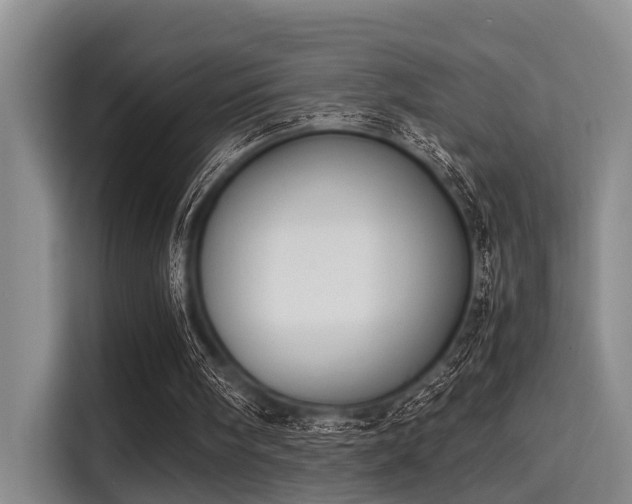 X0000115350098200911101144