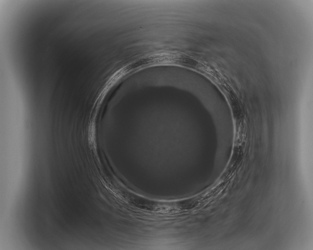 X0000115350099200911101144