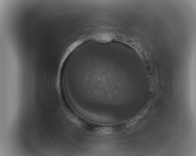 X0000115350104200911101144