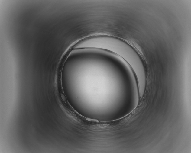 X0000115350108200911101144