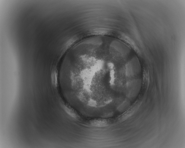 X0000115350110200911101144