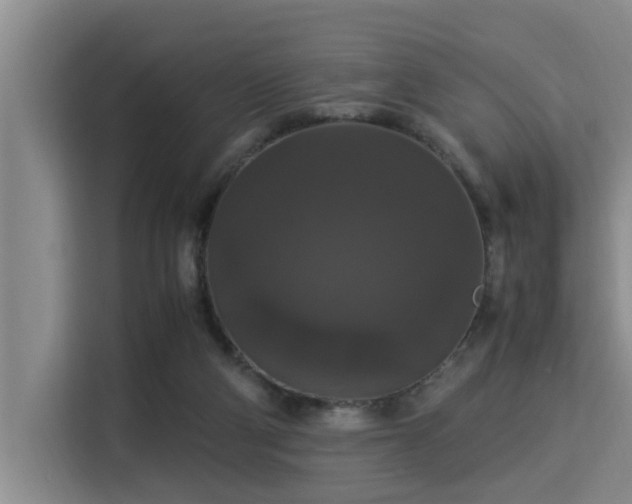 X0000115350114200911101144