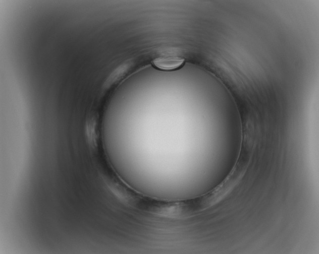 X0000115350116200911101144