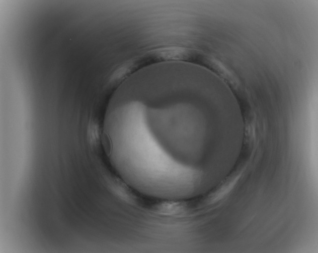 X0000115350117200911101144