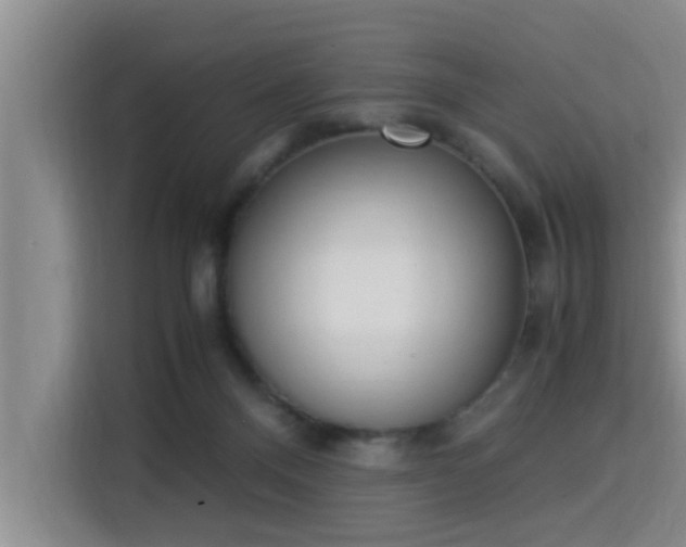 X0000115350120200911101144