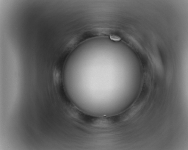 X0000115350123200911101144