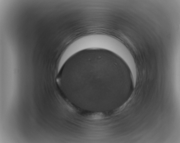 X0000115350124200911101144