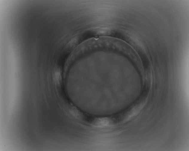 X0000115350127200911101144