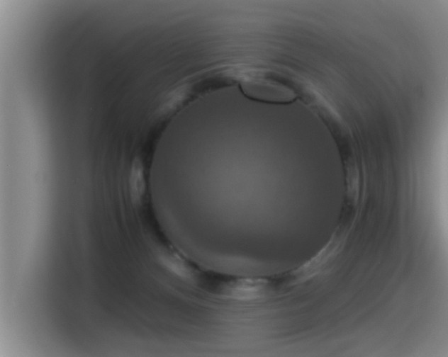 X0000115350128200911101144