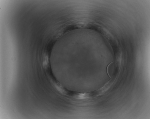 X0000115350130200911101144