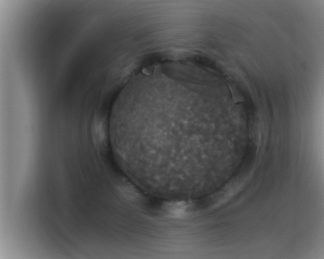 X0000115350131200911101144