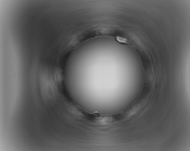 X0000115350135200911101144