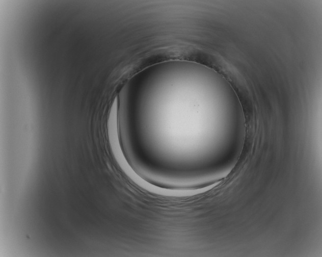 X0000115350137200911101144