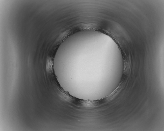 X0000115350142200911101144
